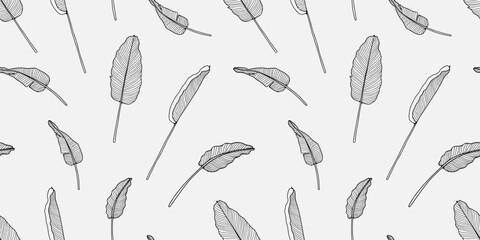 Black and white botanical vector seamless pattern with banana leaves