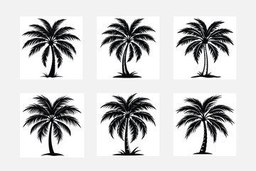 Vector logo and print design templates, summer palms, tropical hand drawn illustrations, tropical surfing concept, vacation and travel, palm trees or coconut trees set 