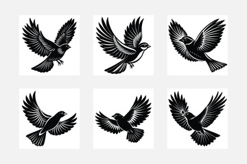Flying bird  Logo Black and White Vector set