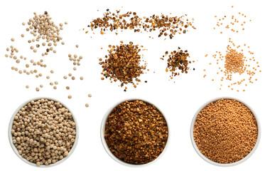 Dried spices for cooking collection - Ready to use Premium PNG Cutout Isolated image