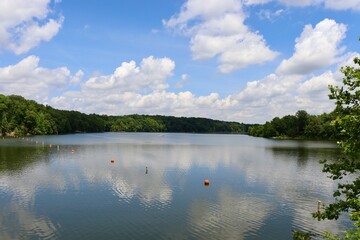 Fototapeta premium The calm lake in the countryside on a sunny day.