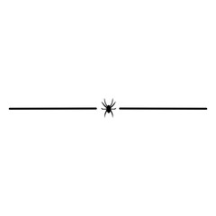 spider border line