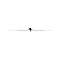 spider border line