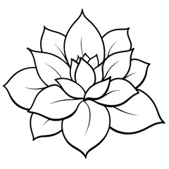 Flower vector illustration decorative natural design elements