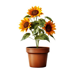Stylish Plant Pot for Every Room
, isolated on transparent background, cutout(png) 