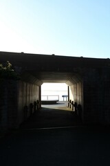 Obraz premium Sunlight Tunnel