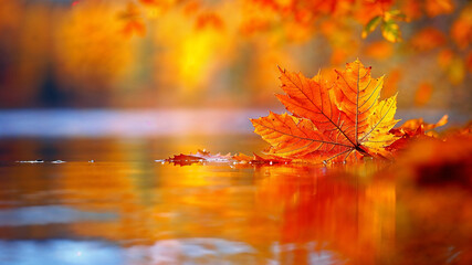 Serene Autumn Scene