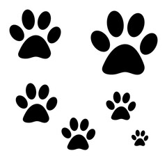 paw prints © Wish
