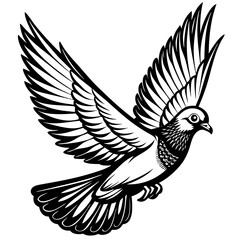 realistic flying pigeon