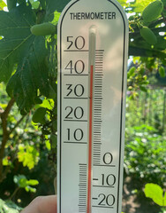 Thermometer Showing High Temperature in Green Garden