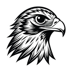 Fototapeta premium coloring book minimalistic hawk head vector art illustration