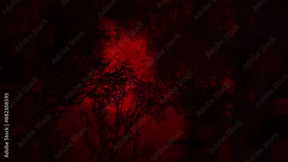 Wall mural haunted forest silhouette with bats 4k loop features a view panning across a forest silhouette with 