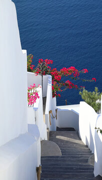 Fototapeta Santorini steps- Beautiful view of narrow stairs and steps the crisscross the villages in Santorini, Greece