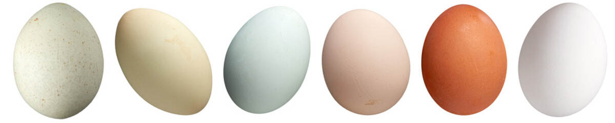 Colourful eggs collection - Ready to use Premium PNG Cutout Isolated image