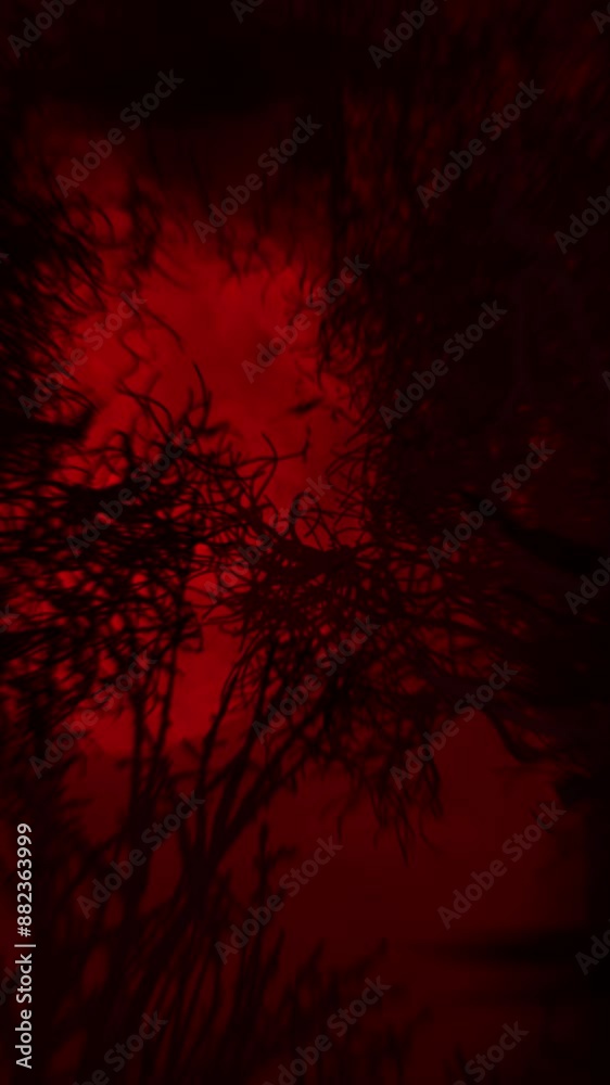 Wall mural vertical haunted forest silhouette with bats 4k loop features a view panning across a forest silhoue