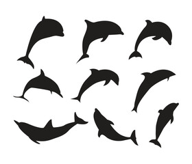 Fototapeta premium vector hand drawn dolphin silhouettes set in various poses