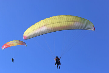 Paragliders flying in a blue sky	