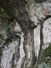 Texture in fairycave