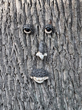 A whimsical decorative face with eyes, nose, and a smiling mouth attached to the textured bark of a large tree trunk.
