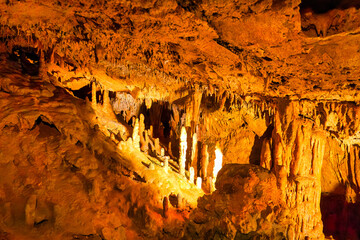 Beautiful Scenic View of a Florida Cavern