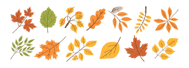 Obraz premium Set of autumn twigs with leaves and seeds, large single colored leaves with autumn color palette hand drawn. Flat doodle style. Vector illustration.