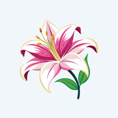 Color lily vector art illustrator 