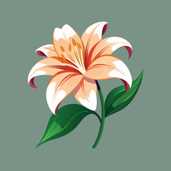 Color lily vector art illustrator 