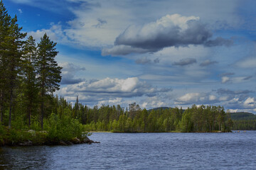 Landscape with lake and marsh