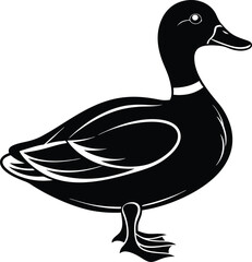 Cute duck vector clipart for printable digital graphics and designs.






