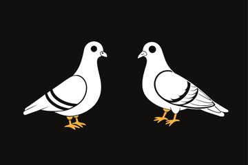 A pigeon dove bird vector illustration.