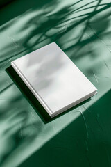 Blank Book Mockup