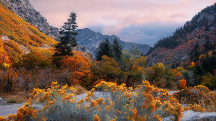 Scenic autumn landscape near Mt Ogden in Utah. © SNEHIT PHOTO