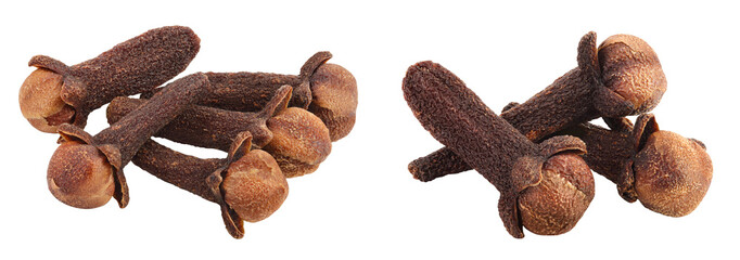 Dry spice cloves isolated on white background with full depth of field.
