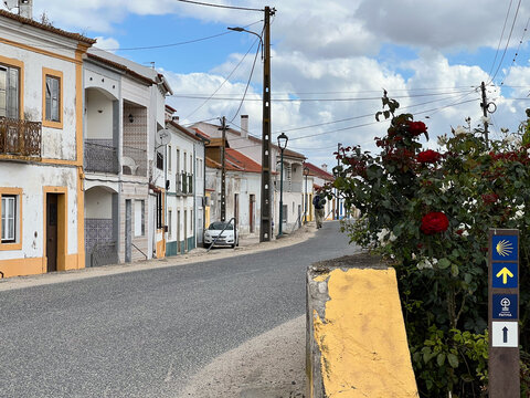 A wooden Camino de Santiago trail marker stands next to blooming red roses along a quiet village street with traditional white houses in Azambuja Portugal under a cloudy sky.