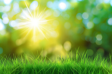 Obraz premium Green Grass and Sunlight with Bokeh Background, Nature Scene for Advertising and Product Display