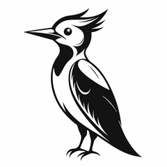 Woodpecker vector silhouette white background