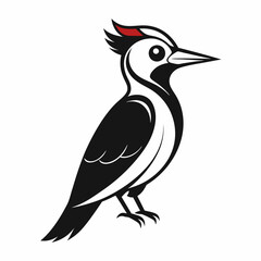 Woodpecker vector silhouette white background
