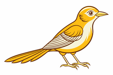 African citril bird vector illustration white background