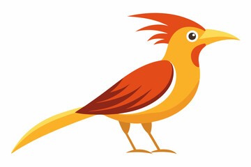 African citril bird vector illustration white background