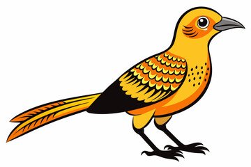 African citril bird vector illustration white background