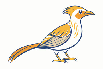 African citril bird vector illustration white background