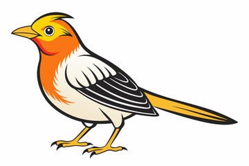 African citril bird vector illustration white background
