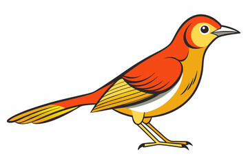 African citril bird vector illustration white background