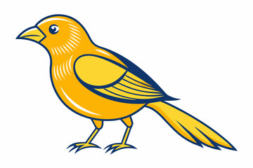 Obraz premium African citril bird vector illustration white background