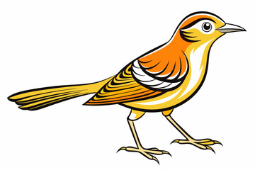 African citril bird vector illustration white background