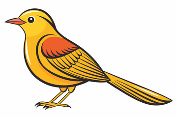 African citril bird vector illustration white background