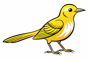 African citril bird vector illustration white background