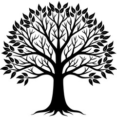 Fototapeta premium deciduous tree vector silhouette 