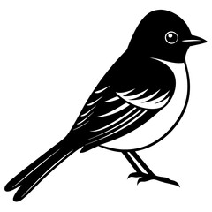 Eastern Phoebe vector silhouette on white background