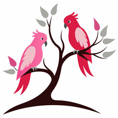 couple Galah in tree wood white background